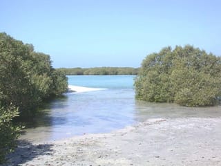 Protected areas policy issued in Abu Dhabi