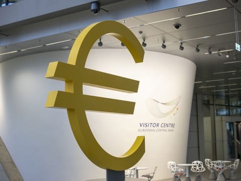 The ECB is also likely to take some comfort from the slowdown in food inflation to 12.5 per cent from 13.5 per cent as pressures on that front were still expected to build for some time.