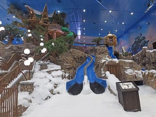 Summer fun in UAE: Snow Abu Dhabi, Sea World Abu Dhabi and more family-friendly attractions
