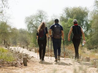 UAE: 10 hidden gems to explore for a nature escape