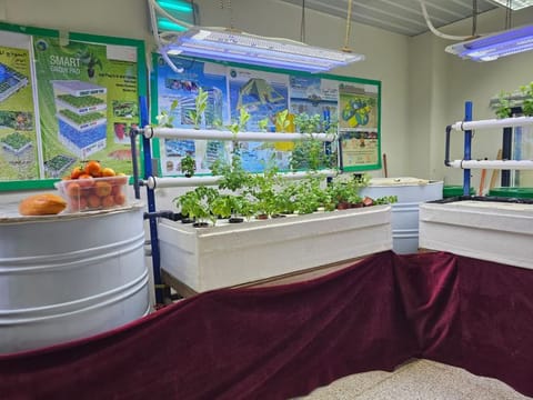 As interest in farming grew among Dubai Central Jail inmates, practical training on modern farming techniques, including hydroponics and aquaponics, were added.