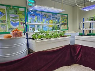 Dubai Central Jail inmates try hands on organic farming