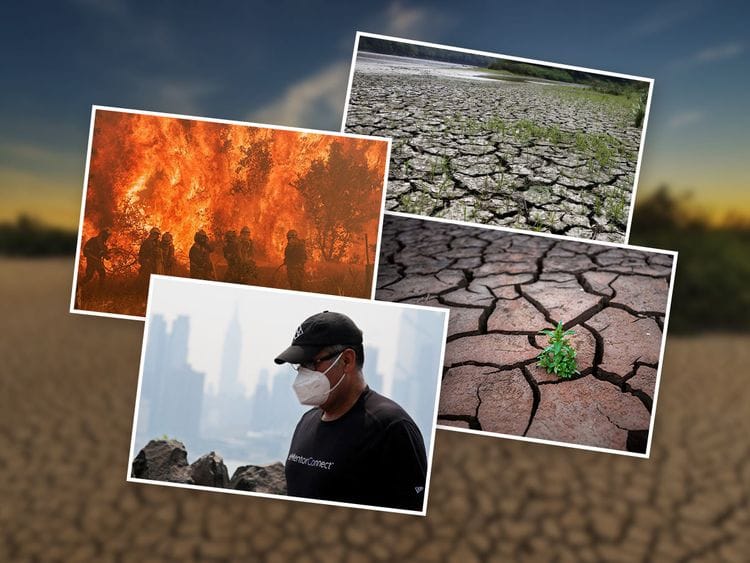 OPN Climate Change 