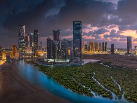 Mangroves around the city of Abu Dhabi. Mangroves are known to protect coasts from erosion. They also play a key role in carbon capture, and are home to a series of birds and animals. 