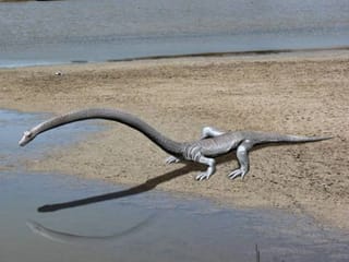 Spell It: Here's why we're grateful we don't live in the age of dinosaurs