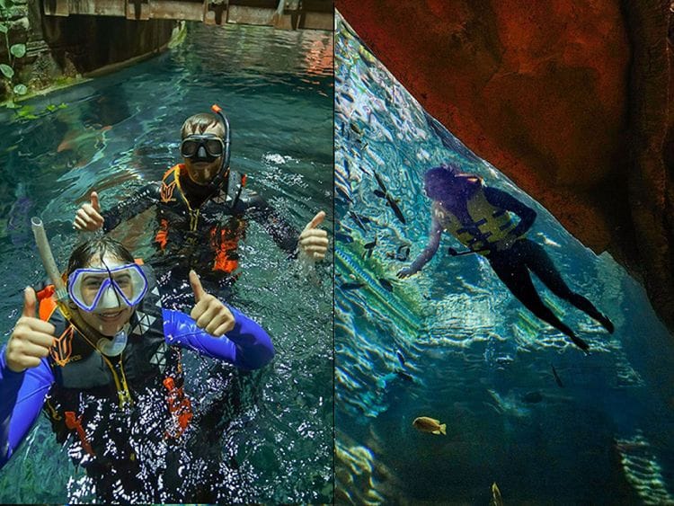 Green Planet Dubai rainbow River
