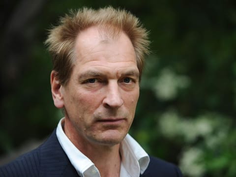 Actor Julian Sands.