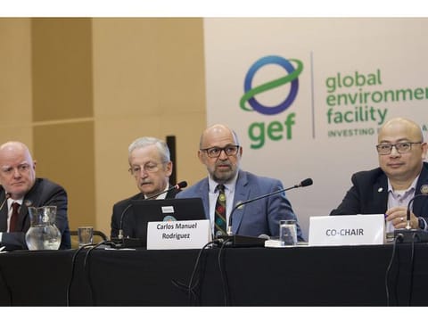 GEF council members in Brasilia to discuss the programming directions of the Global Biodiversity Framework Fund in June 2023. 