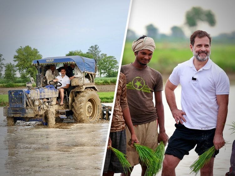 OPN Rahul Gandhi