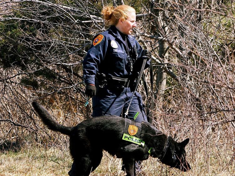 Long_Island_Serial_Killings_52551--c481d-(Read-Only)