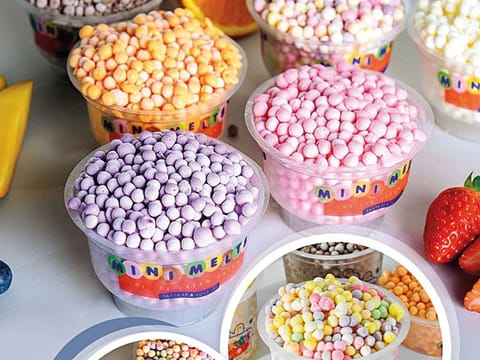 Mini Melts is fulfilling the ice-cream dream