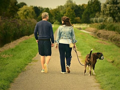 A French town is planning to penalise owners who are responsible for failing to pick up their animals’ droppings. Picture for illustrative purposes.