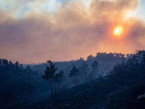 A wildfire burns in a forest near Lardos, on the island of Rhodes, Greece, July 22, 2023. 