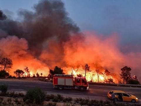 Photos: Algeria battles raging wildfires that have killed 34