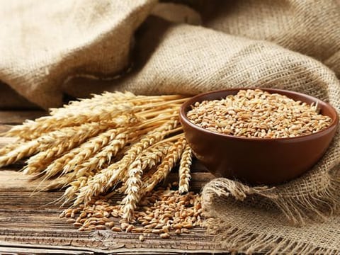 First Mills and its integral role in promoting food security in Saudi Arabia 