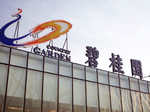 The logo of property developer Country Garden is seen on a building in Dalian, Liaoning province, China May 7, 2017. The 41-year-old tycoon woman will keep the voting rights.   