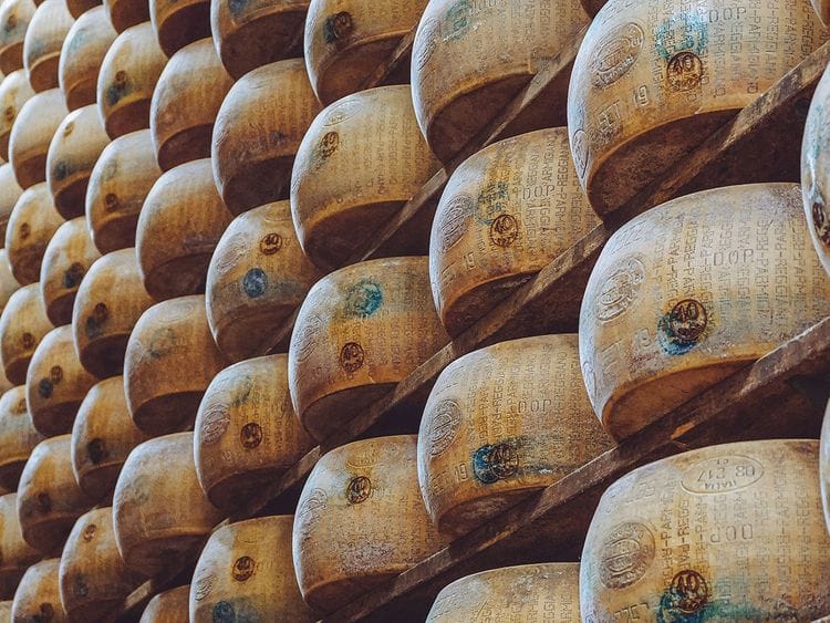 20230807 cheese wheels