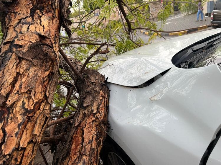 An incident on August 5 after rains and strong winds in Sharjah