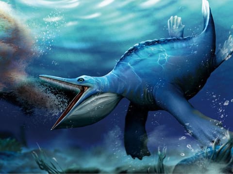 Artist's reconstruction shows the Triassic Period marine reptile Hupehsuchus nanchangensis, based on fossils unearthed in China's Hubei Province. 