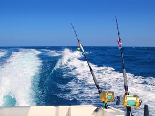 UAE: Fisherman nets Dh50,000 fine in Abu Dhabi for overfishing 