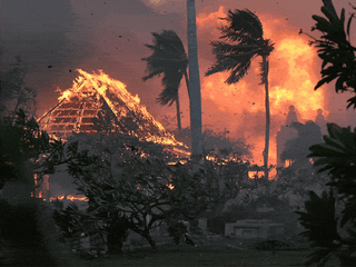 Photos: At least 53 die in fires burning in Hawaii
