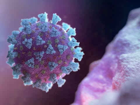[Illustrative image] Eris is a descendant of a group of coronavirus strains labeled XBB. These are all offshoots of the omicron variant, which arose in late 2021. 