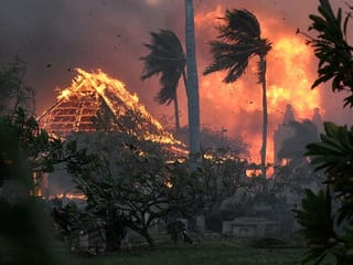 Hollywood stars open up their hearts for forest-fire struck Maui