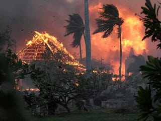 Wildfires devastate Hawaii, UAE enforces stricter healthcare, and more, Gulf News Editors comment on August 10 trending news 