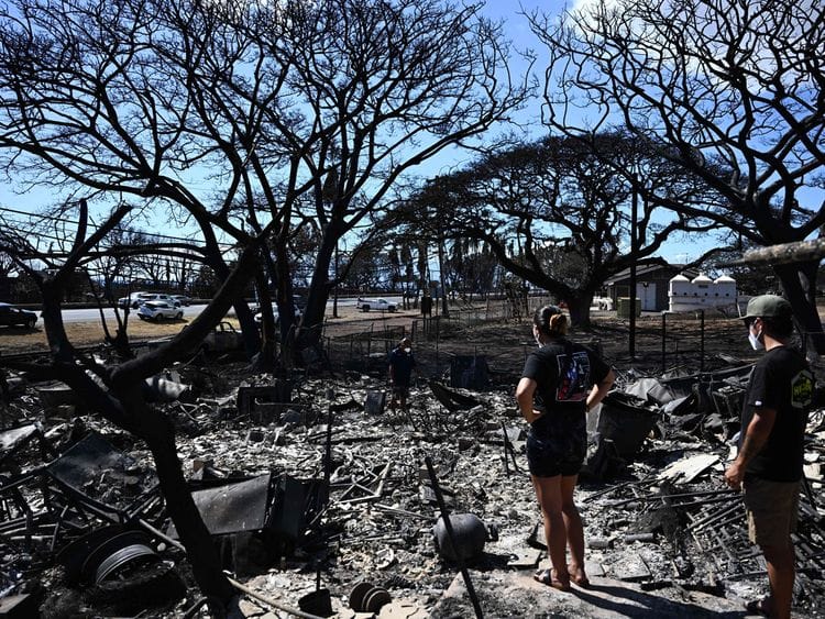 Maui Fires