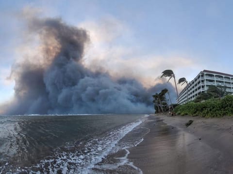 Smoke billows near Lahaina as wildfires driven by high winds destroy a large part of the historic town of Lahaina, in Kahului, Hawaii.