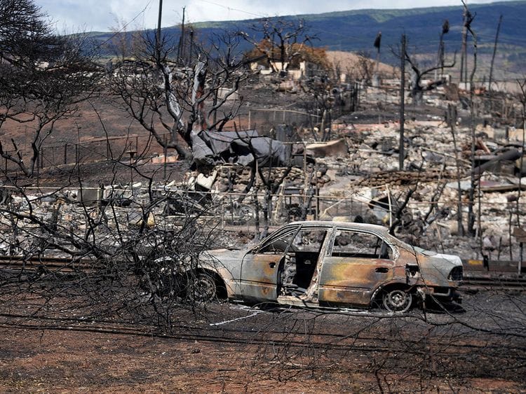 OPN Hawaii wildfire