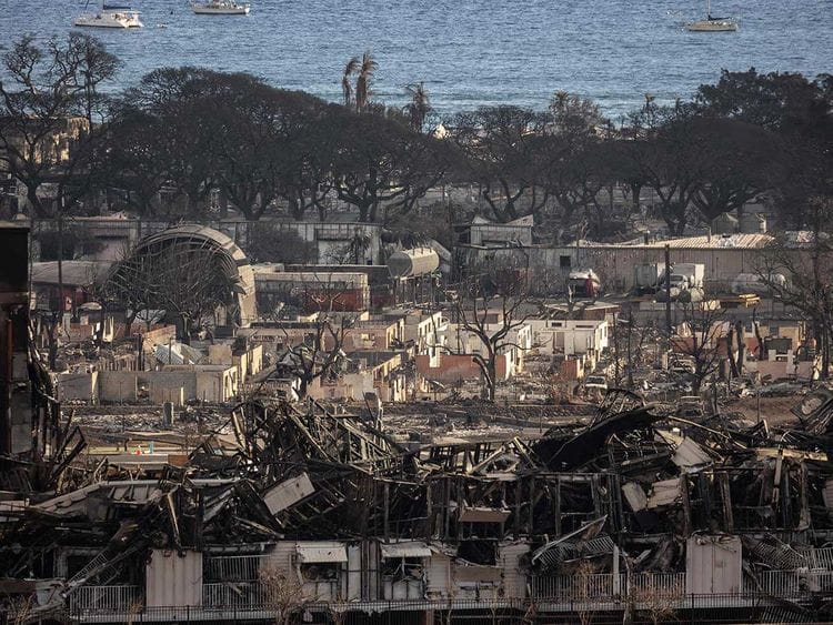 Maui hawaii wildfires