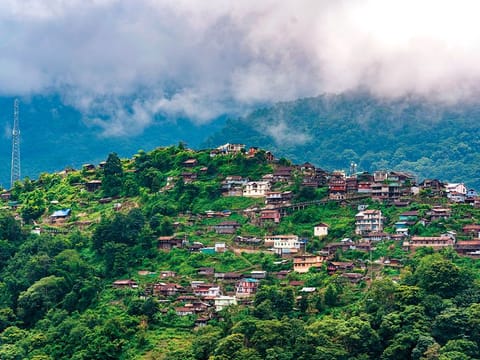 A bird’s eye view of Khonoma