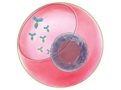 Knowing which genes are associated with higher secretion of an antibody could be used by pharmaceutical makers to engineer cells that secrete large volumes of the antibody.