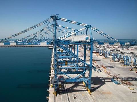 The AD Ports group has been deploying significant funds in strategic overseas investments, whether in the wider Middle East and Europe. The Georgia investment is the latest. 