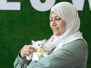 Photos: Cat cafe brings pawsitivity to Gaza