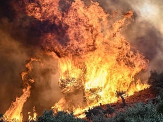 Photos: Greece forest fires death toll hits 20