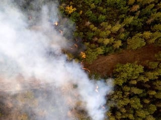 Photos: Tenerife firefighters stabilise huge wildfire after nine days 