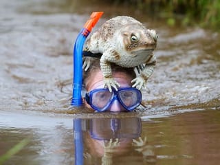Photos: Competitors get down and dirty at Britain's bog snorkeling championships