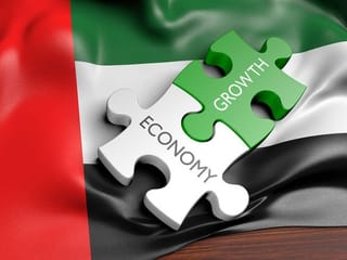 UAE defies global FDI decline with a 28% increase in investments