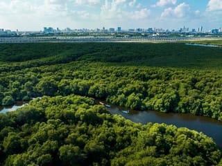 UAE: Major project to double size of Al Zorah nature reserve in Ajman