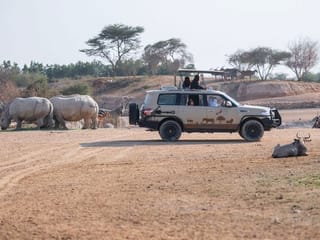 Al Ain Zoo awaits its 10 millionth visitor with a memorable celebration and special offers