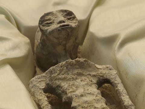 Photos: UFO expert presents 'non-human' bodies at Mexican Congress