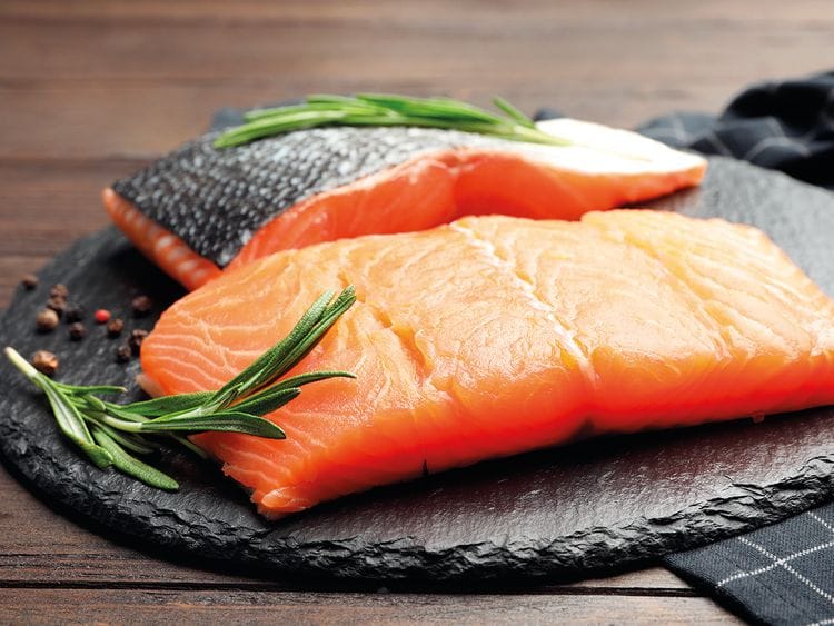 salmon