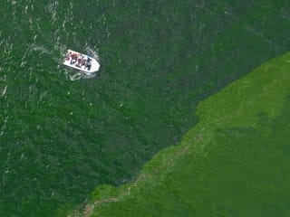 Photos: Extreme plankton bloom creates marine 'dead zone' off eastern Thailand 