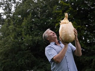 Look: Giant 8.97kg onion set to break world record at Harrogate Flower Show