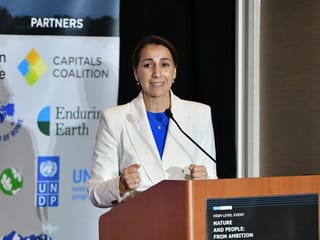 UAE endorses ‘Mangrove Breakthrough’ and announces Mangroves Ministerial at COP28