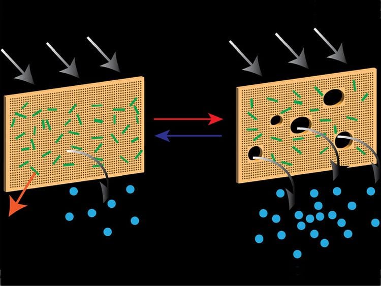 UAE researchers created a unique hybrid membrane desalination