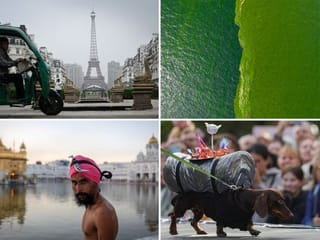 China's mini Eiffel tower, Thailand green sea, Russia dachshund parade and more: Top 10 pictures of the week from around the world