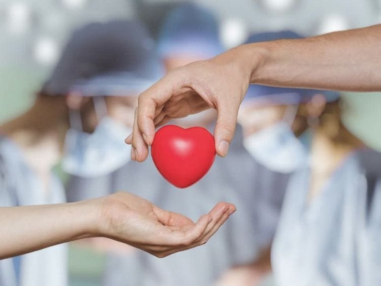 organ-donation-generic-supplied-1695534536632